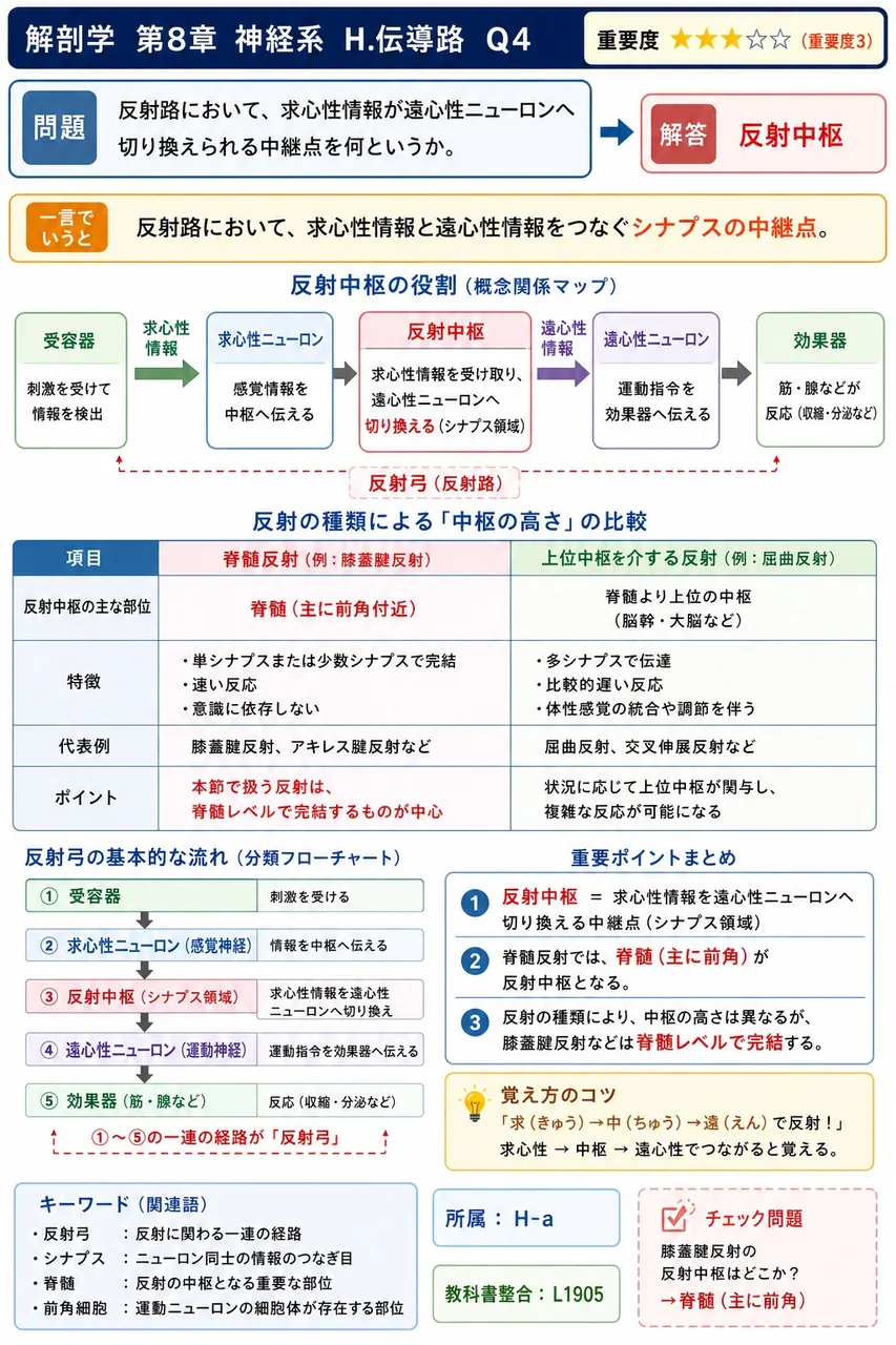 反射路において、求心性情報が遠心性ニューロンへ切り換えられる中継点を何というか。 解説図