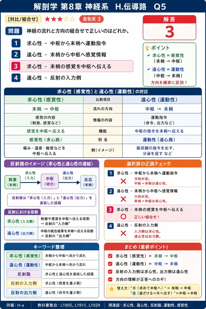 神経の流れと方向の組合せで正しいのはどれか。 解説図