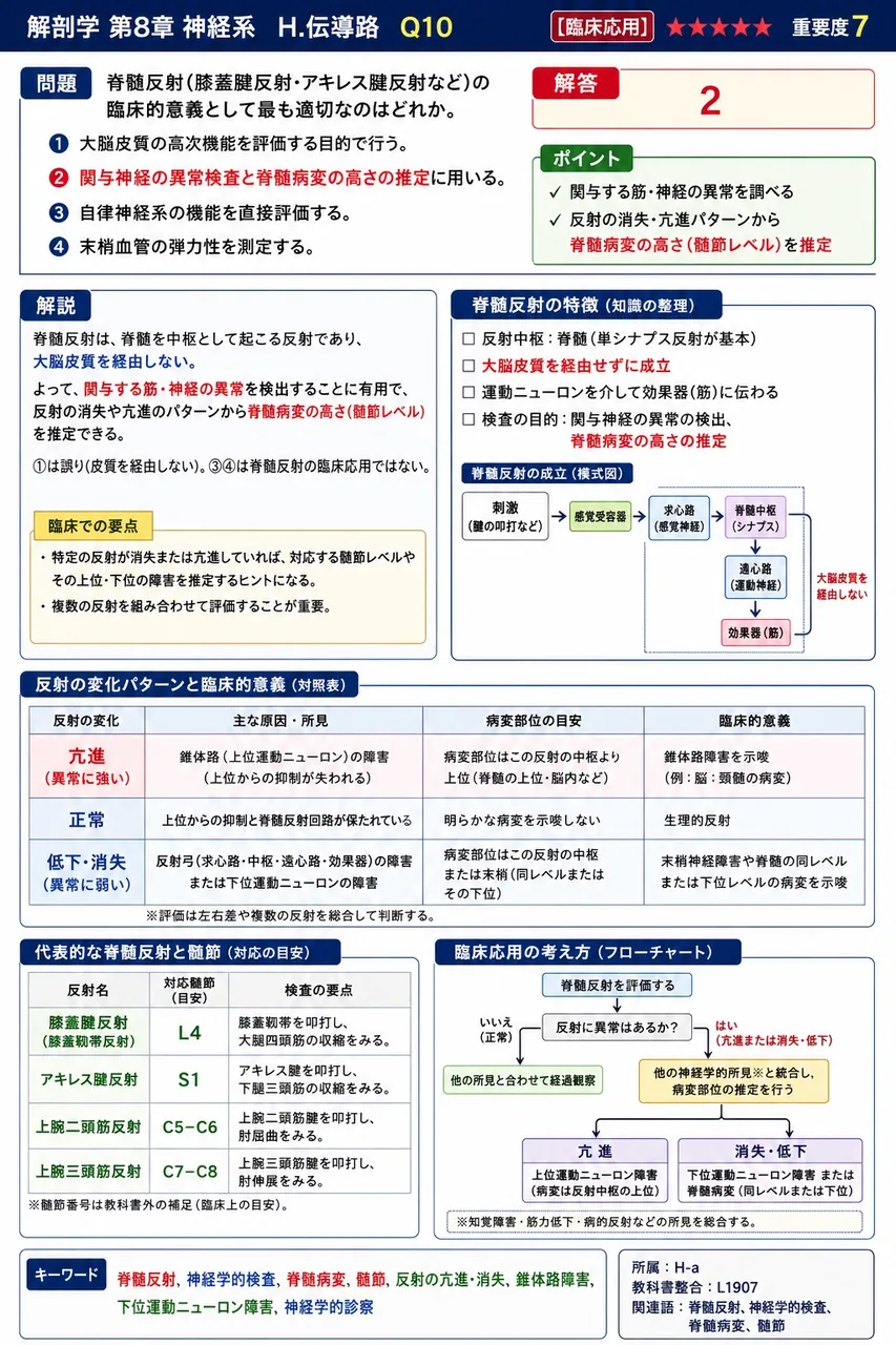 脊髄反射(膝蓋腱反射・アキレス腱反射など)の臨床的意義として最も適切なのはどれか。 解説図