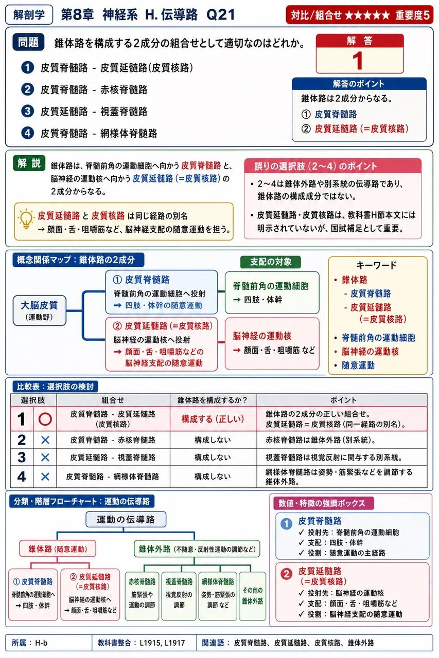 錐体路を構成する2成分の組合せとして適切なのはどれか。 解説図
