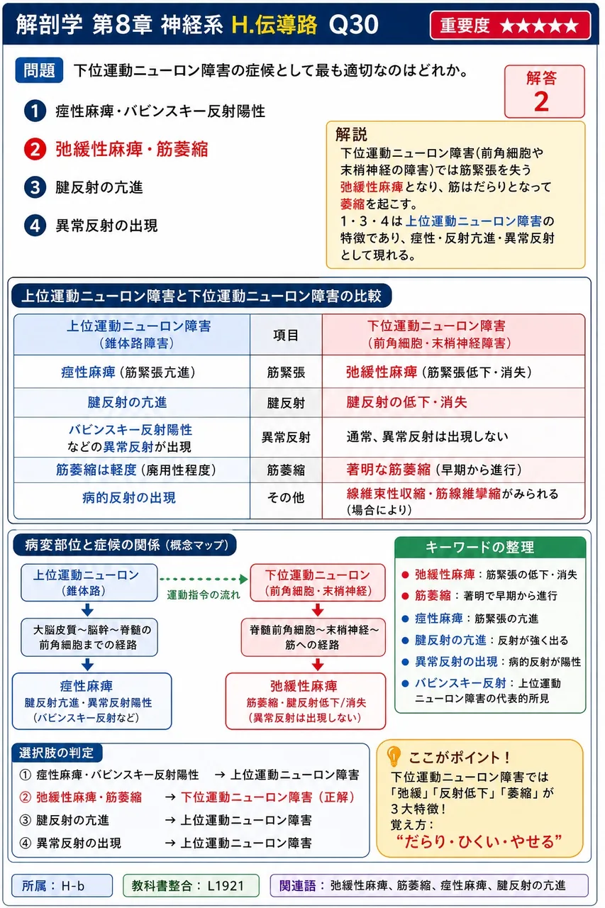 下位運動ニューロン障害の症候として最も適切なのはどれか。 解説図