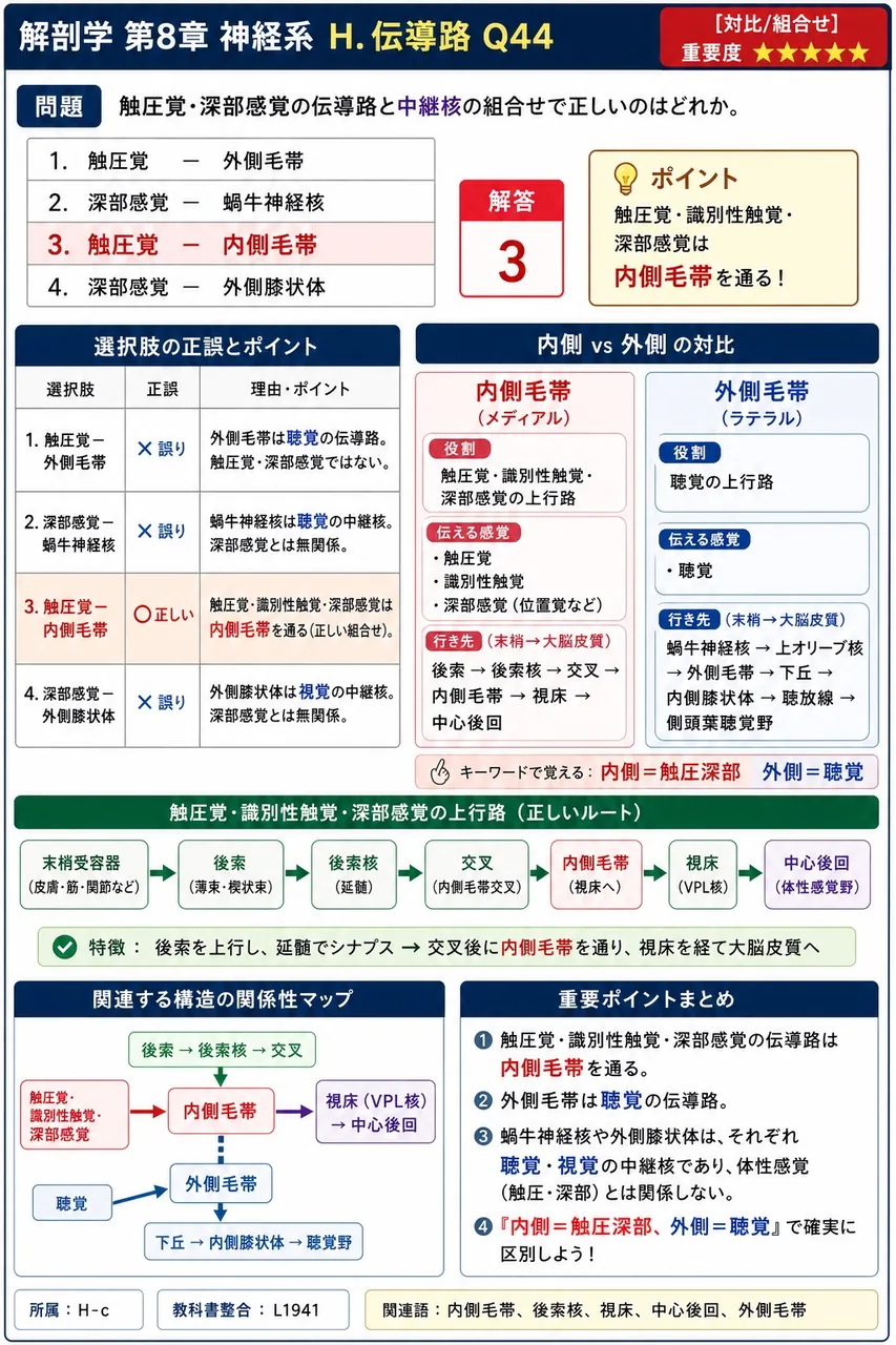 触圧覚・深部感覚の伝導路と中継核の組合せで正しいのはどれか。 解説図