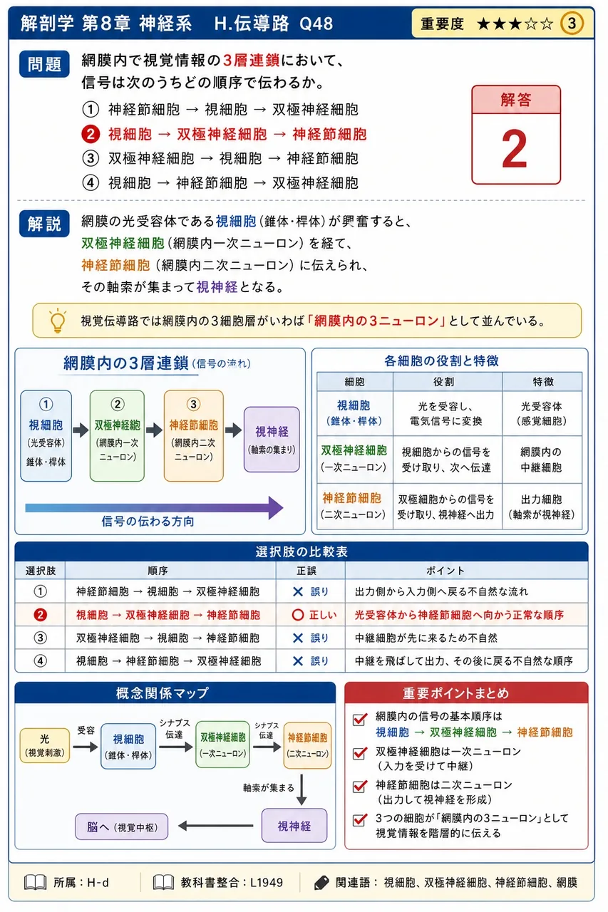網膜内で視覚情報の3層連鎖において、信号は次のうちどの順序で伝わるか。 解説図