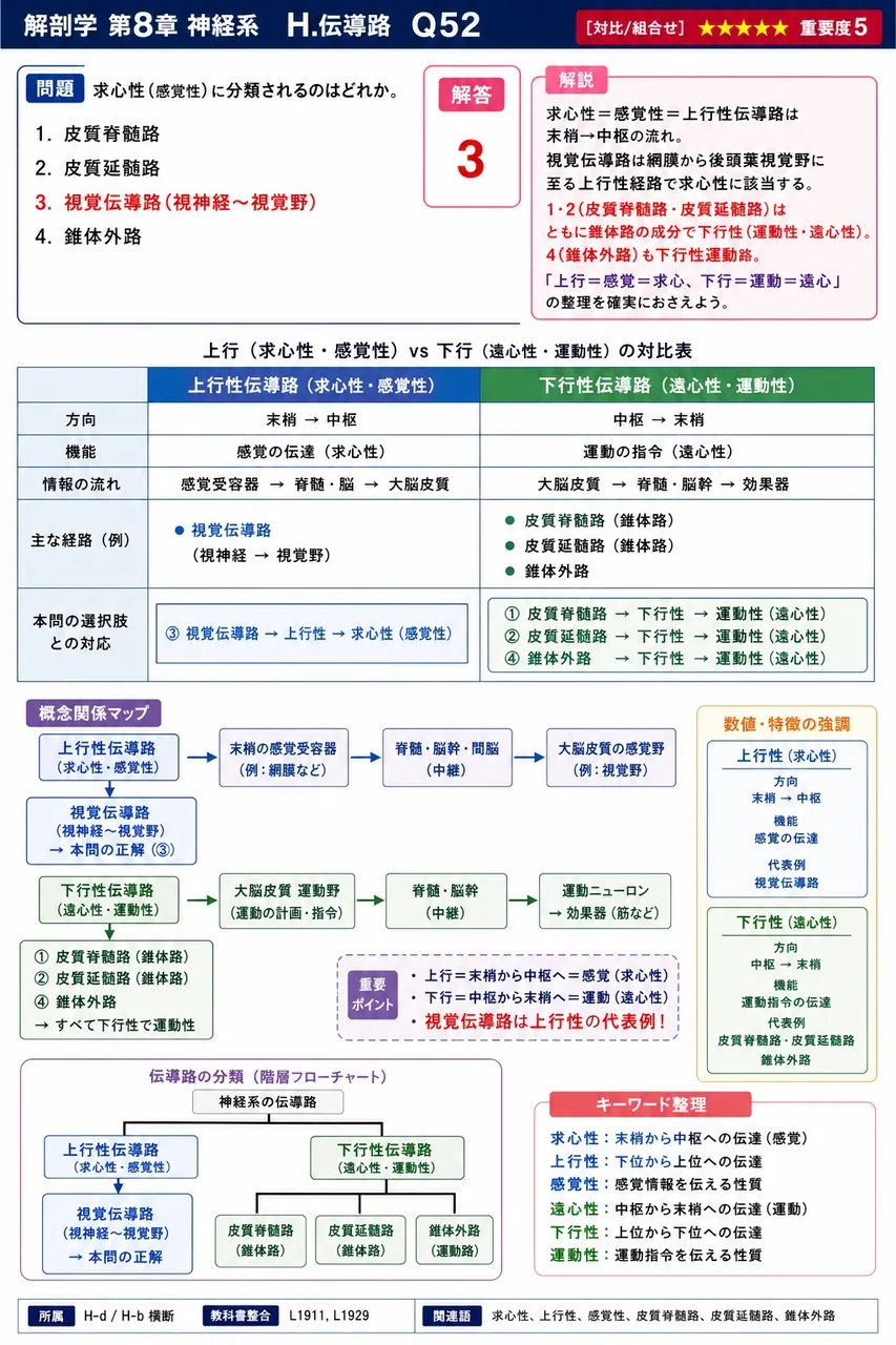 求心性(感覚性)に分類されるのはどれか。 解説図