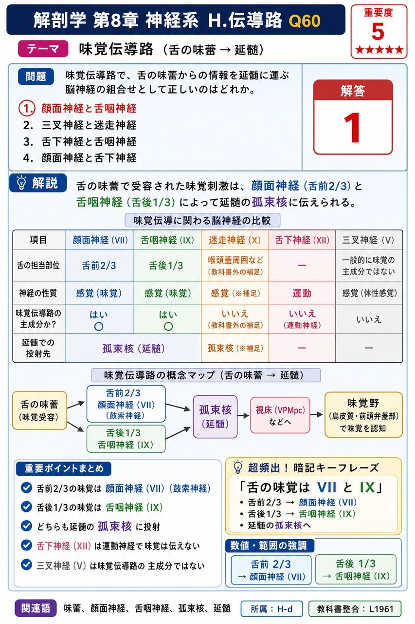 味覚伝導路で、舌の味蕾からの情報を延髄に運ぶ脳神経の組合せとして正しいのはどれか。 解説図