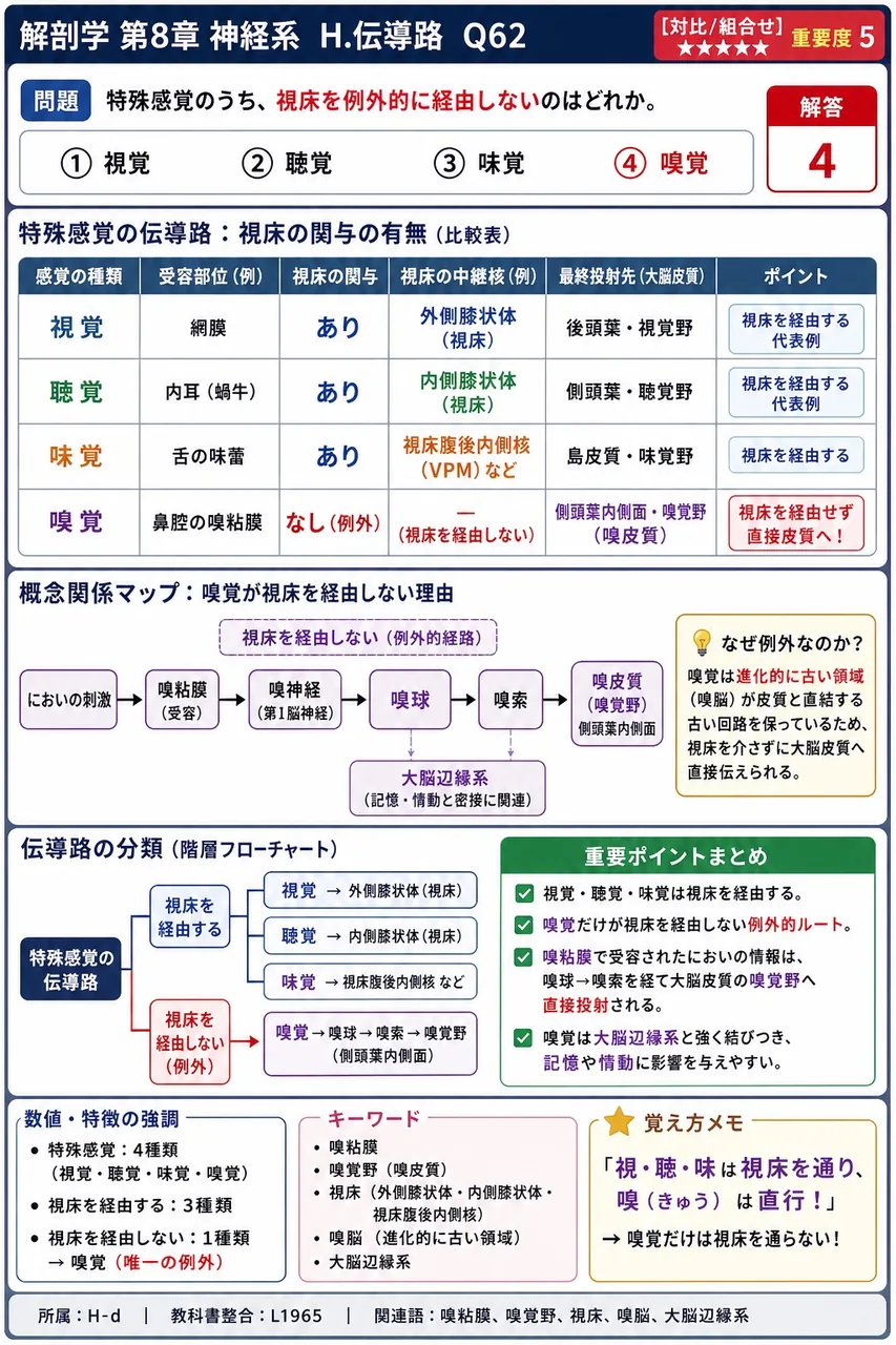 特殊感覚のうち、視床を例外的に経由しないのはどれか。 解説図