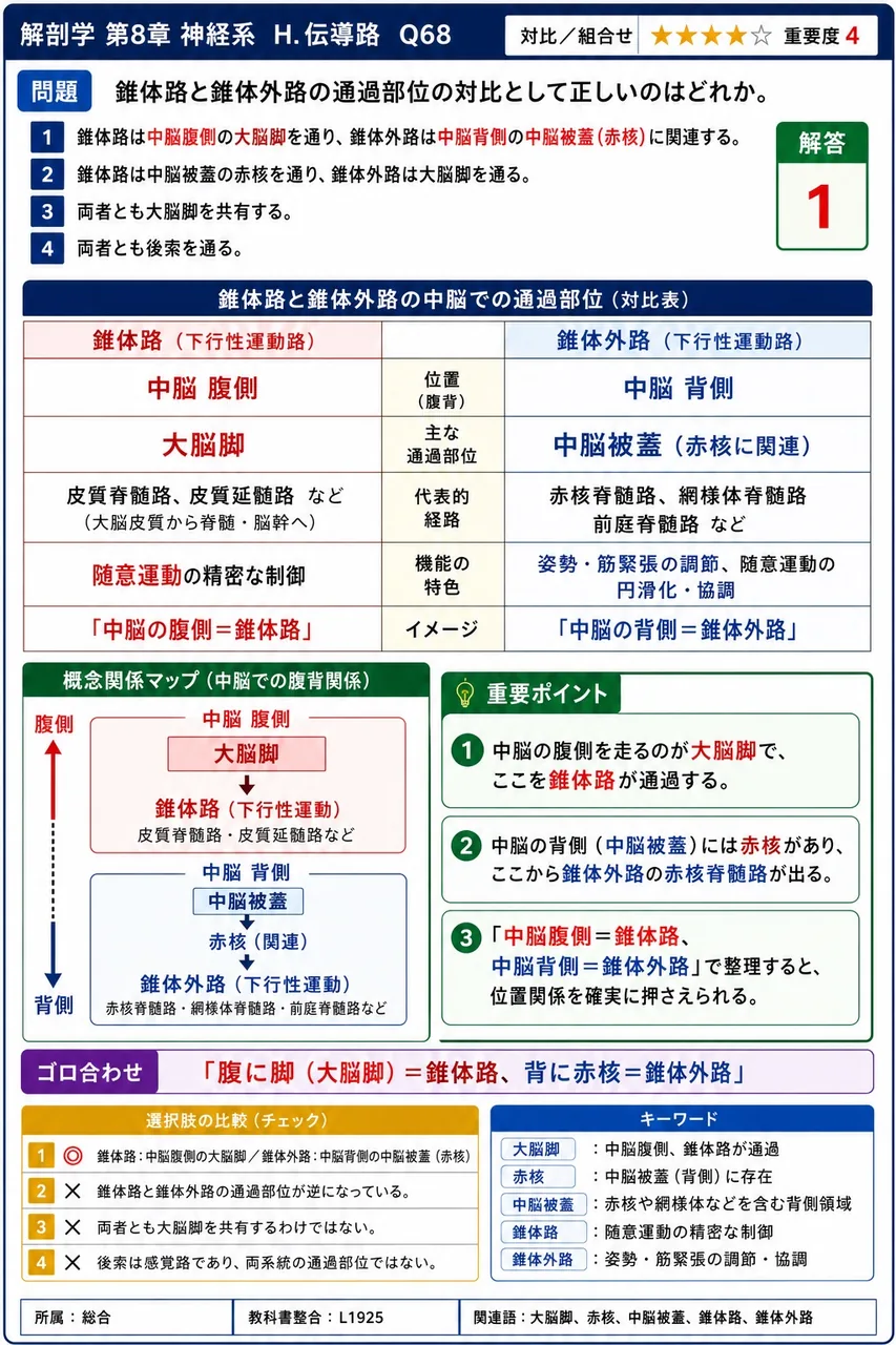 錐体路と錐体外路の通過部位の対比として正しいのはどれか。 解説図