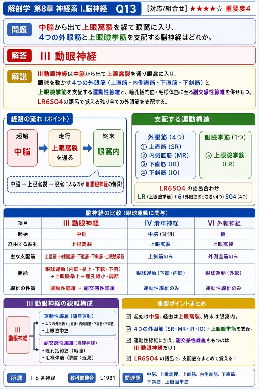 中脳から出て上眼窩裂を経て眼窩に入り、4つの外眼筋と上眼瞼挙筋を支配する脳神経はどれか。 解説図