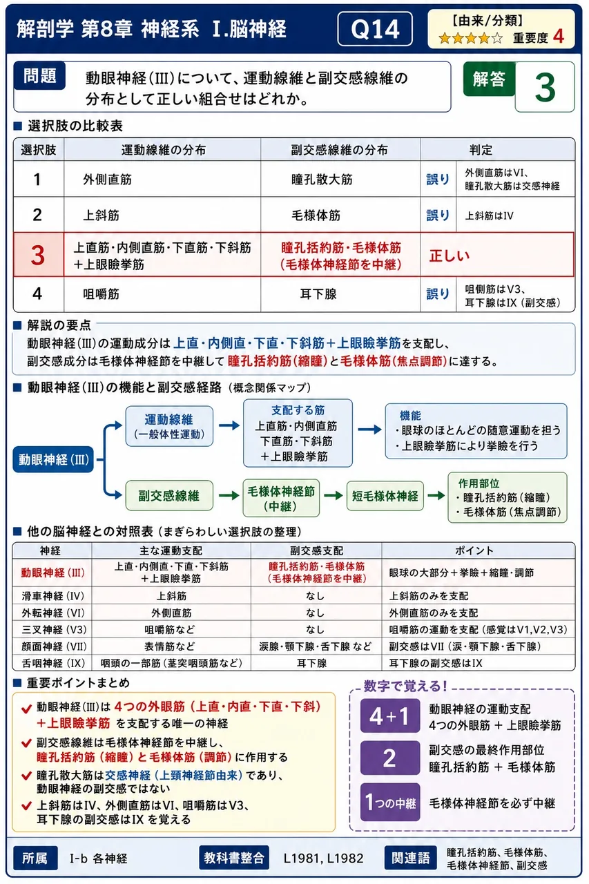 動眼神経(III)について、運動線維と副交感線維の分布として正しい組合せはどれか。 解説図