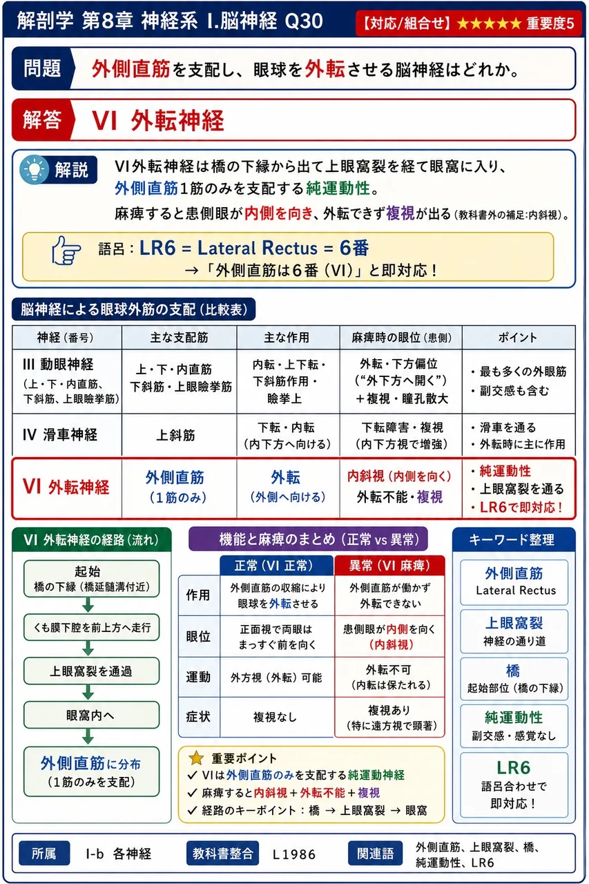 外側直筋を支配し、眼球を外転させる脳神経はどれか。 解説図
