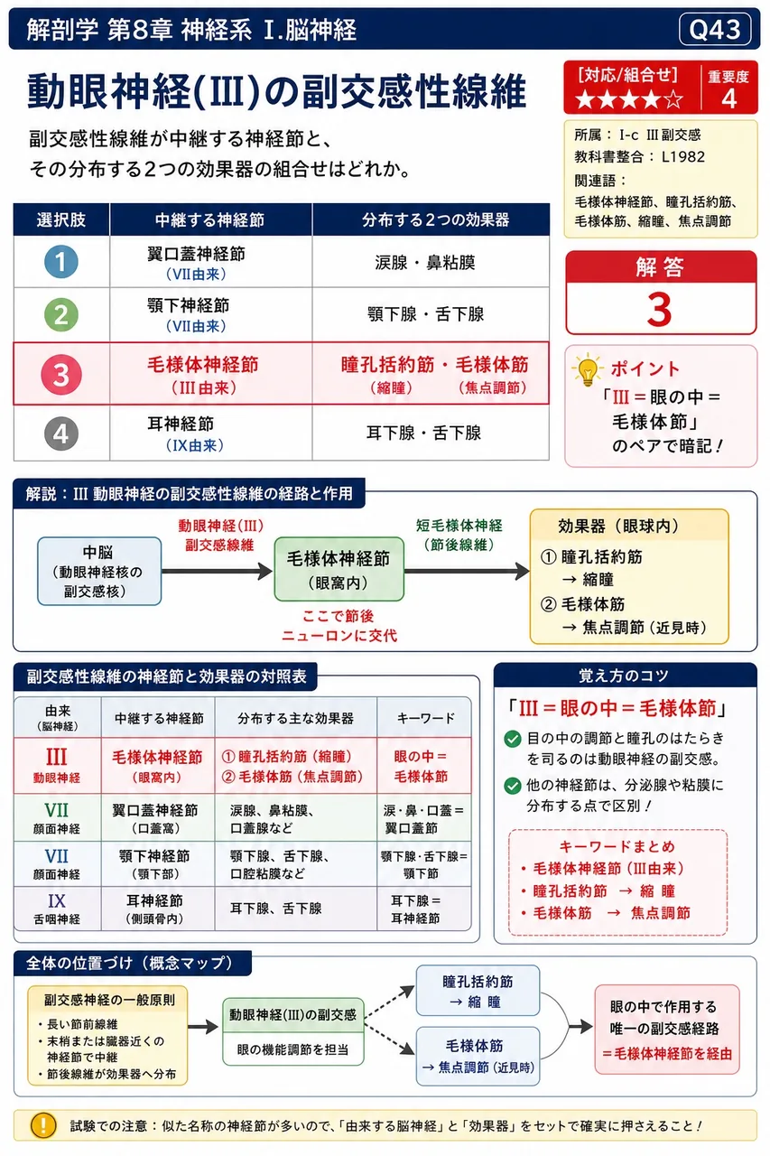 動眼神経(III)の副交感性線維が中継する神経節と、その分布する2つの効果器の組合せはどれか。 解説図