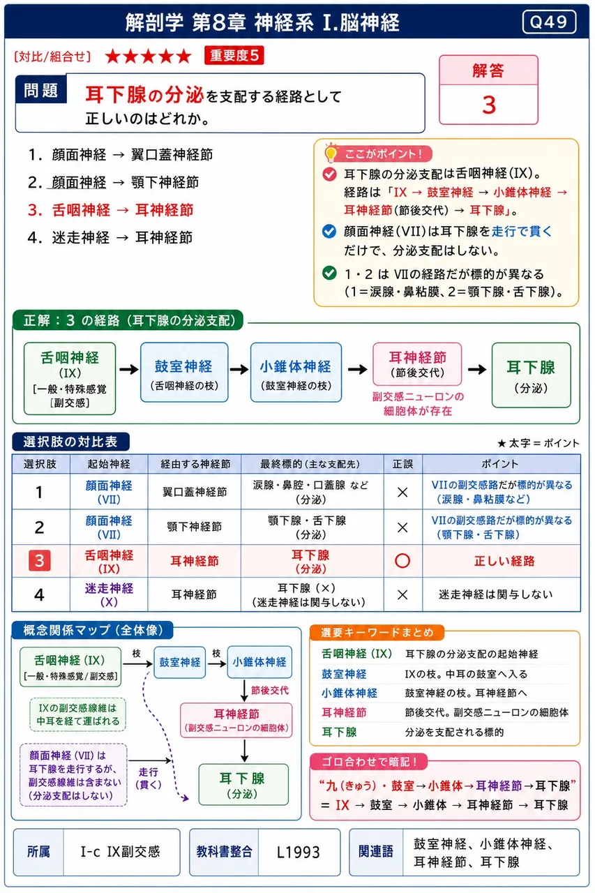 耳下腺の分泌を支配する経路として正しいのはどれか。 解説図