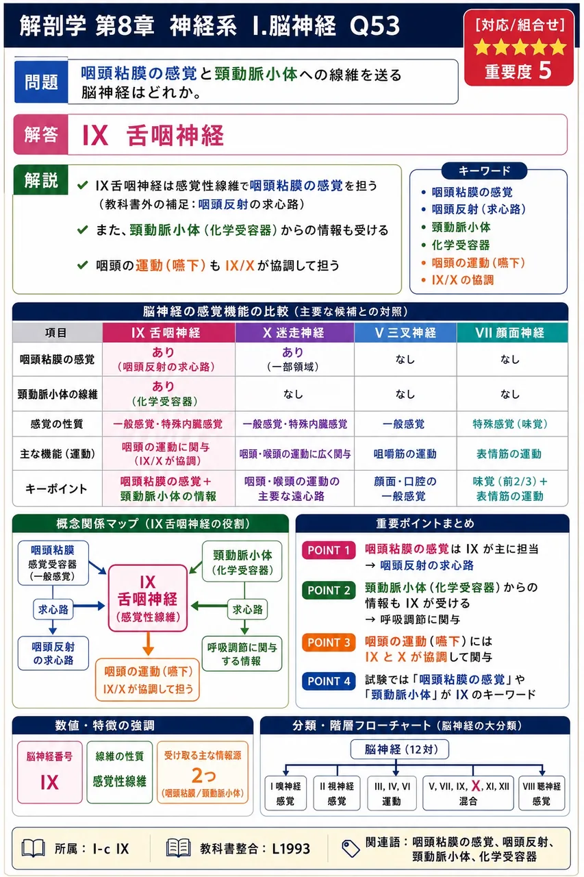 咽頭粘膜の感覚と頸動脈小体への線維を送る脳神経はどれか。 解説図