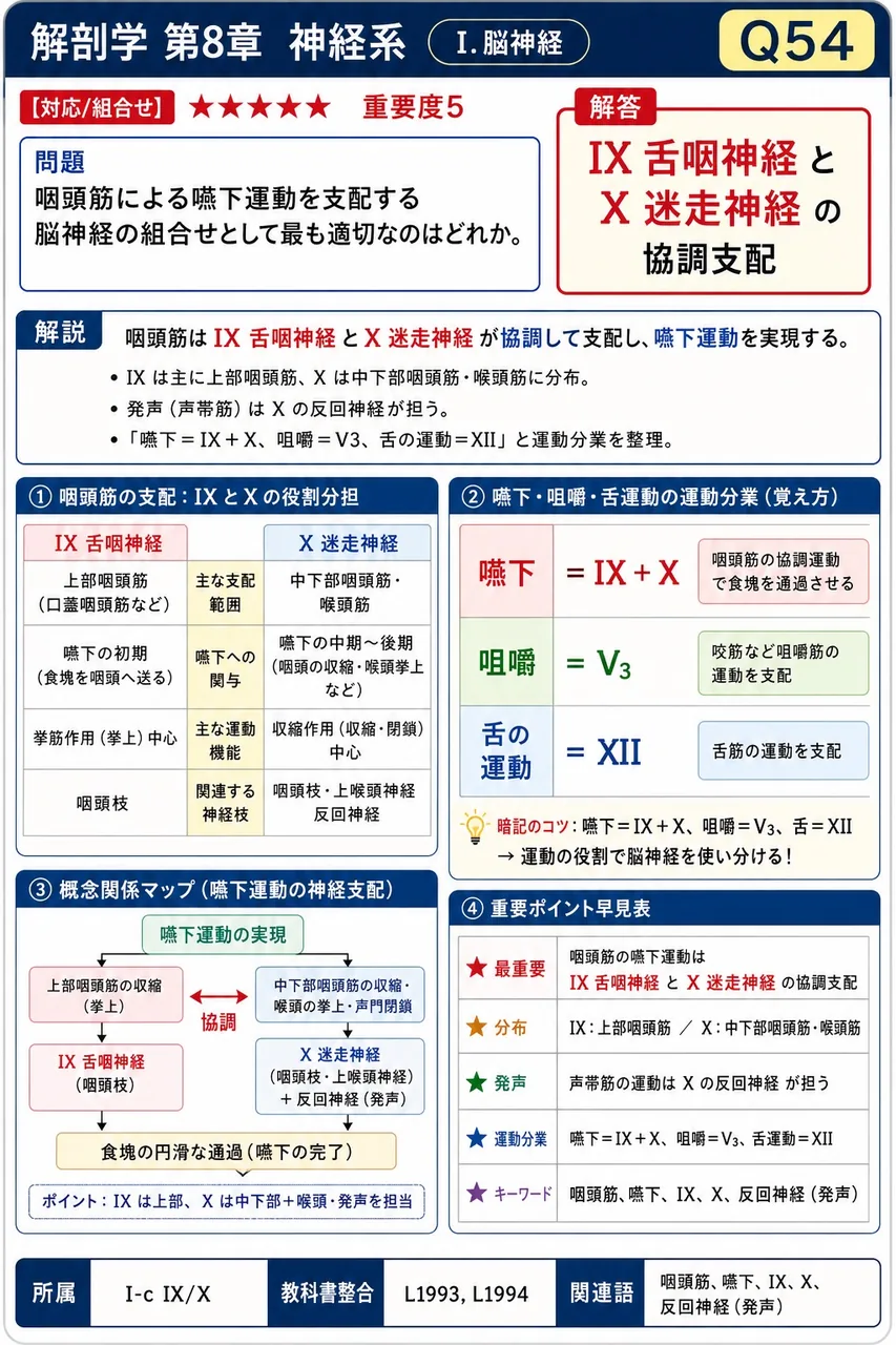 咽頭筋による嚥下運動を支配する脳神経の組合せとして最も適切なのはどれか。 解説図