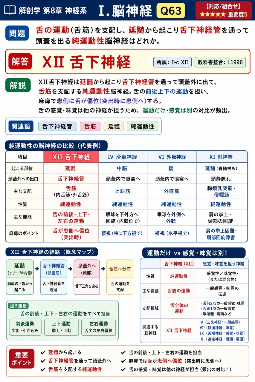 舌の運動(舌筋)を支配し、延髄から起こり舌下神経管を通って頭蓋を出る純運動性脳神経はどれか。 解説図