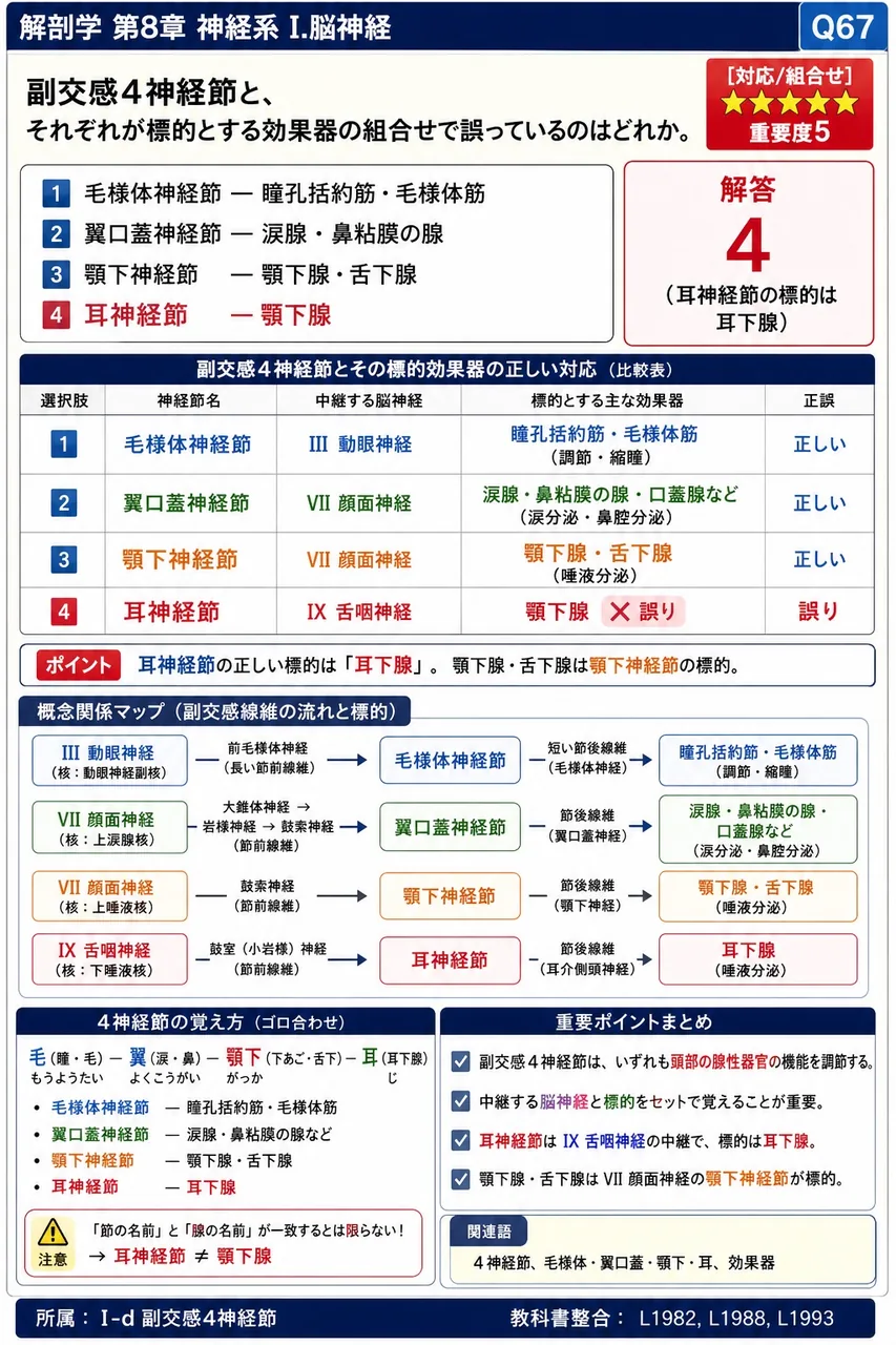 副交感4神経節と、それぞれが標的とする効果器の組合せで誤っているのはどれか。 解説図