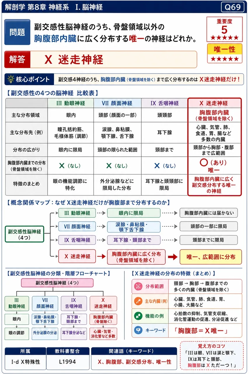 副交感性脳神経のうち、骨盤領域以外の胸腹部内臓に広く分布する唯一の神経はどれか。 解説図
