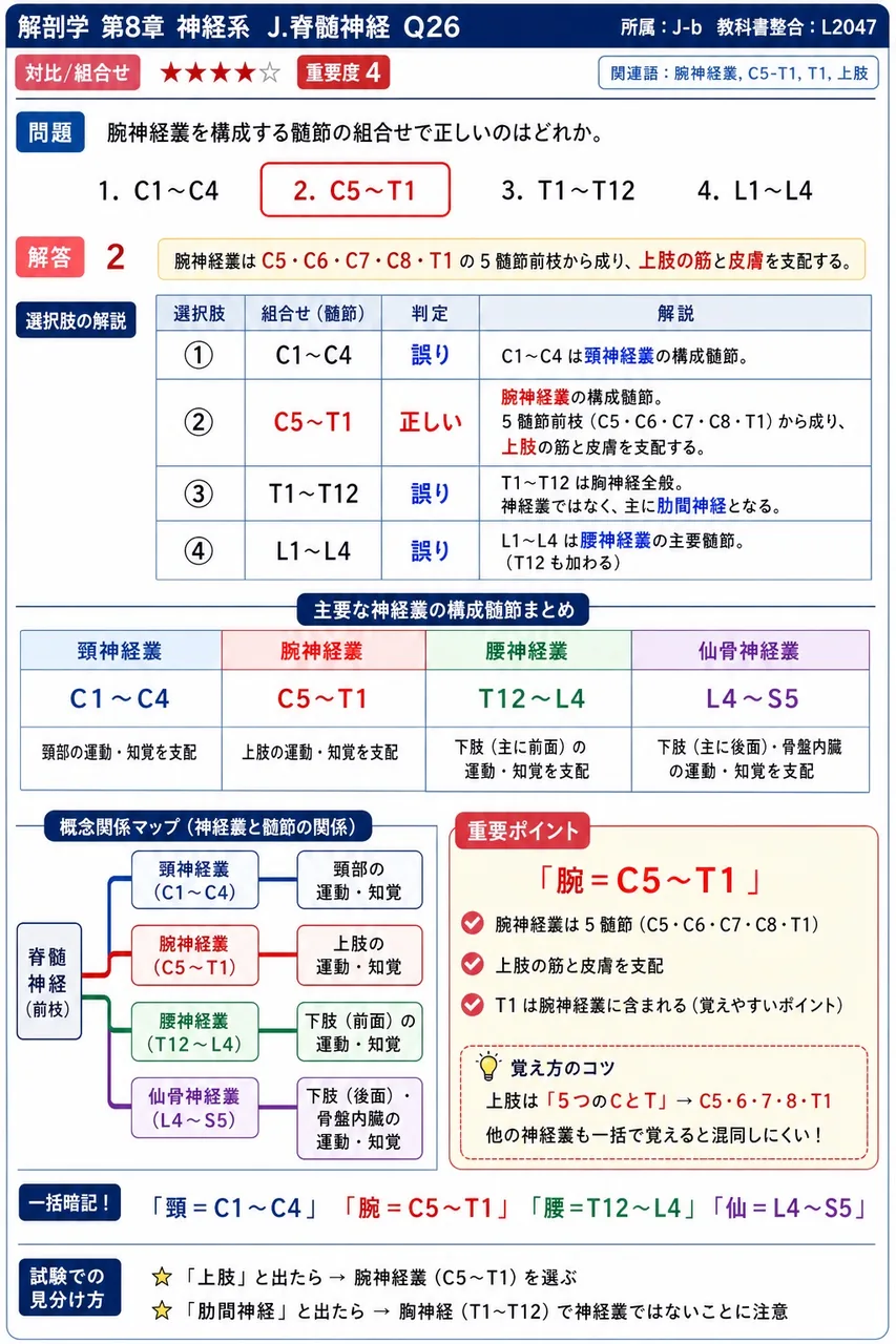 腕神経叢を構成する髄節の組合せで正しいのはどれか。 解説図