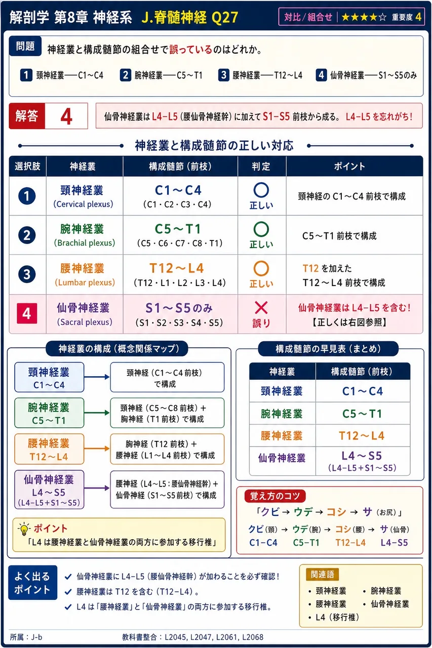 神経叢と構成髄節の組合せで誤っているのはどれか。 解説図