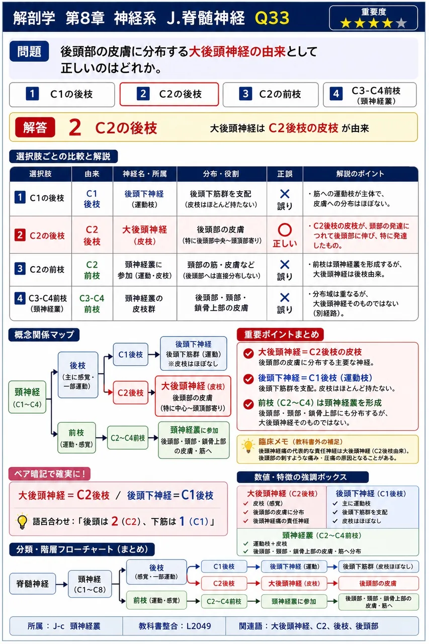 後頭部の皮膚に分布する大後頭神経の由来として正しいのはどれか。 解説図