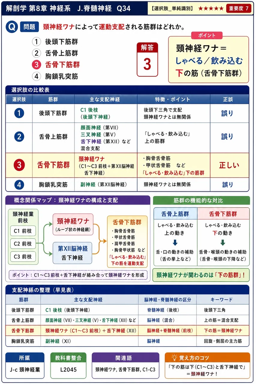 頸神経ワナによって運動支配される筋群はどれか。 解説図