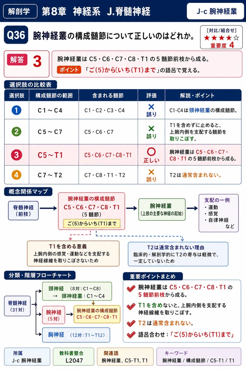 腕神経叢の構成髄節について正しいのはどれか。 解説図