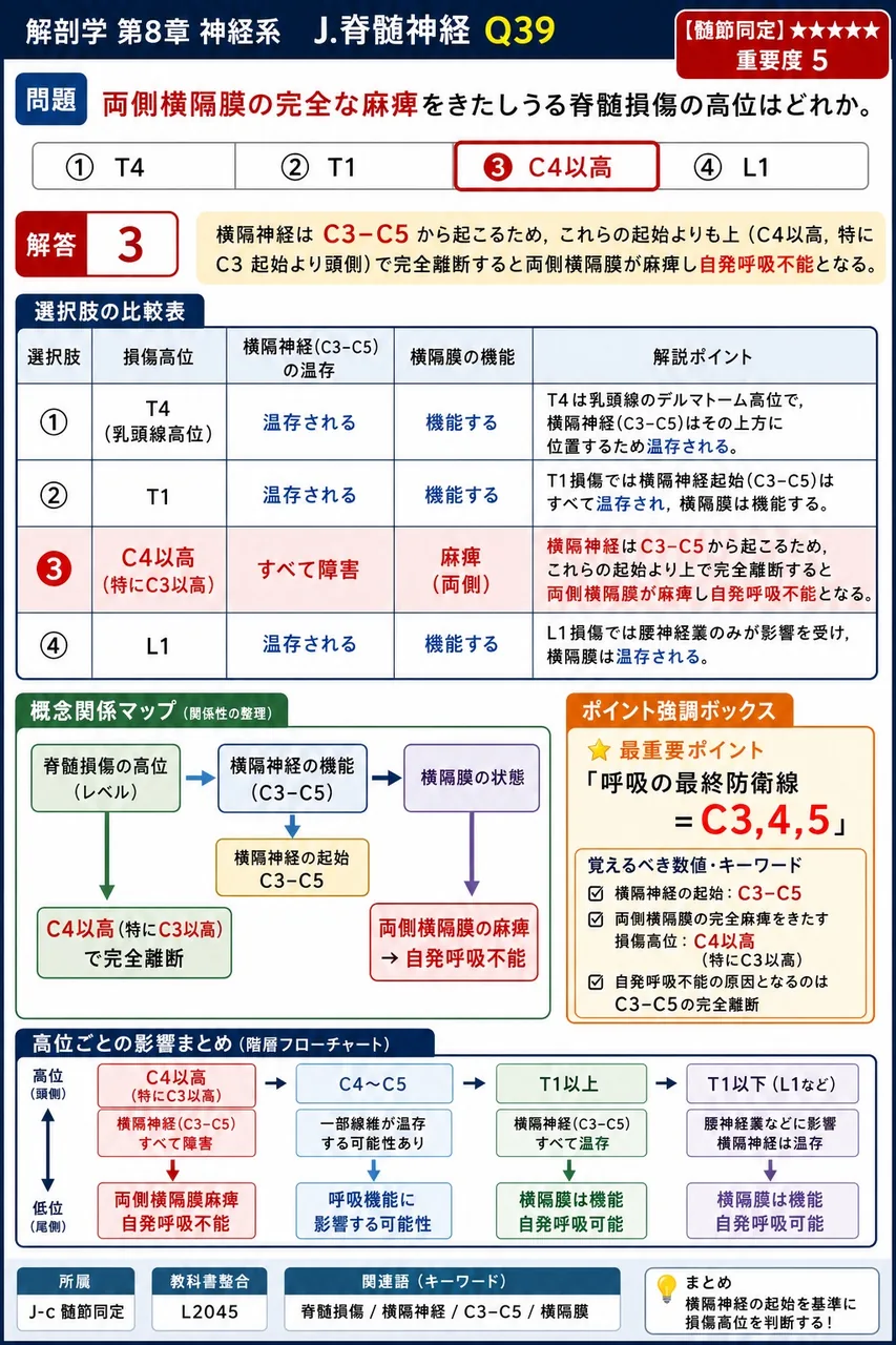 両側横隔膜の完全な麻痺をきたしうる脊髄損傷の高位はどれか。 解説図