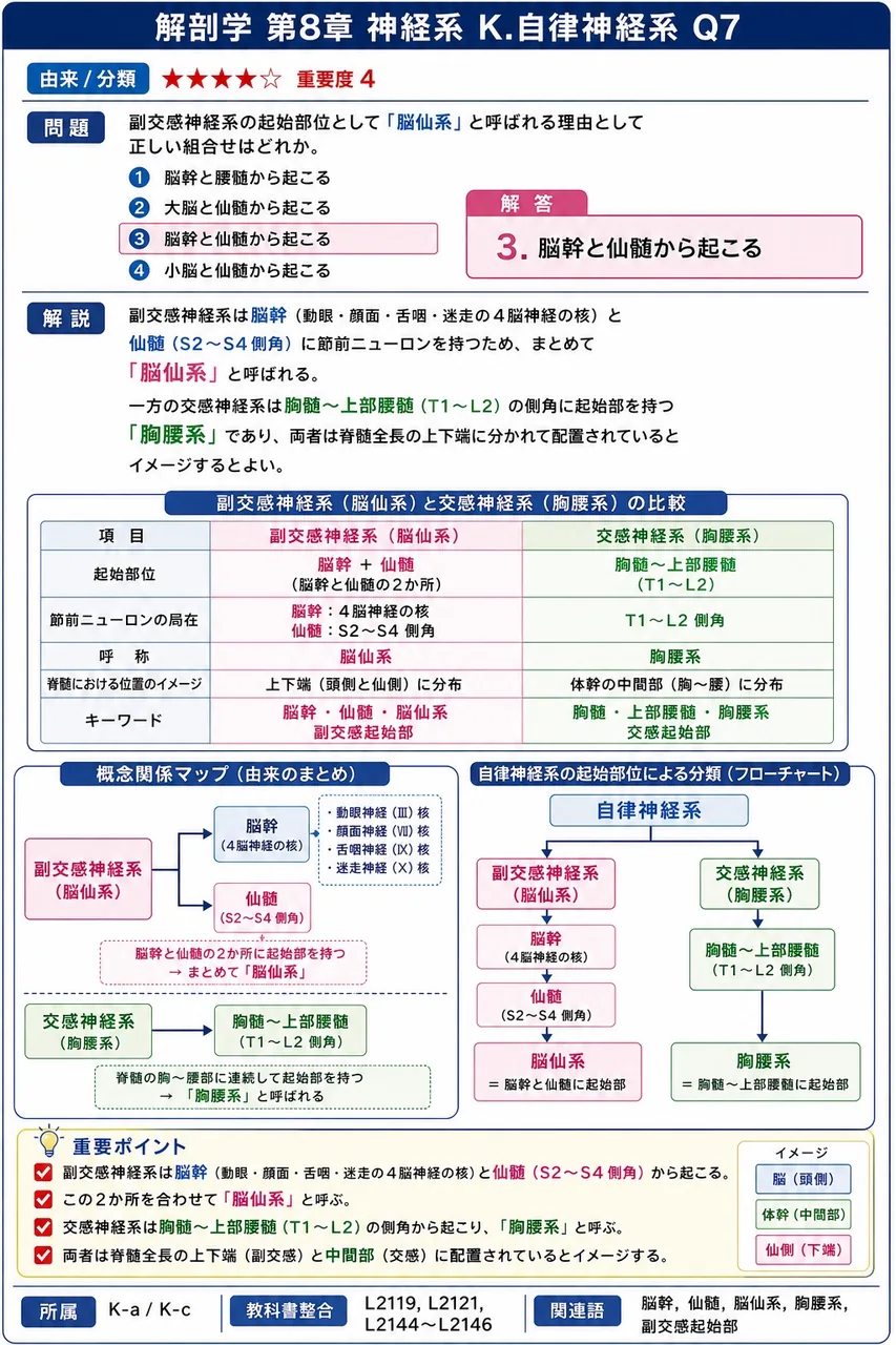 副交感神経系の起始部位として「脳仙系」と呼ばれる理由として正しい組合せはどれか。 解説図