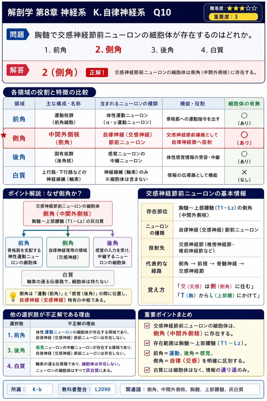胸髄で交感神経節前ニューロンの細胞体が存在するのはどれか。 解説図
