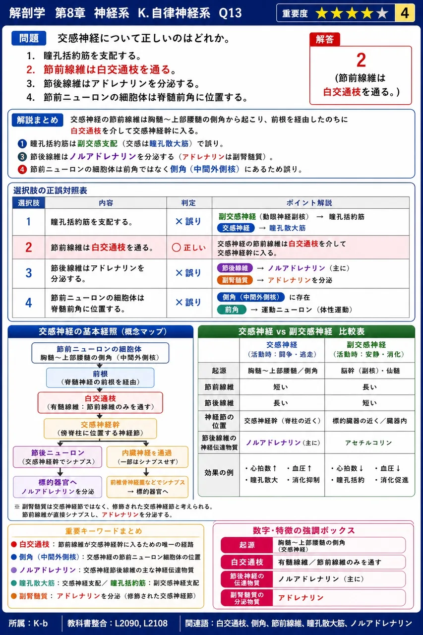 交感神経について正しいのはどれか。 解説図