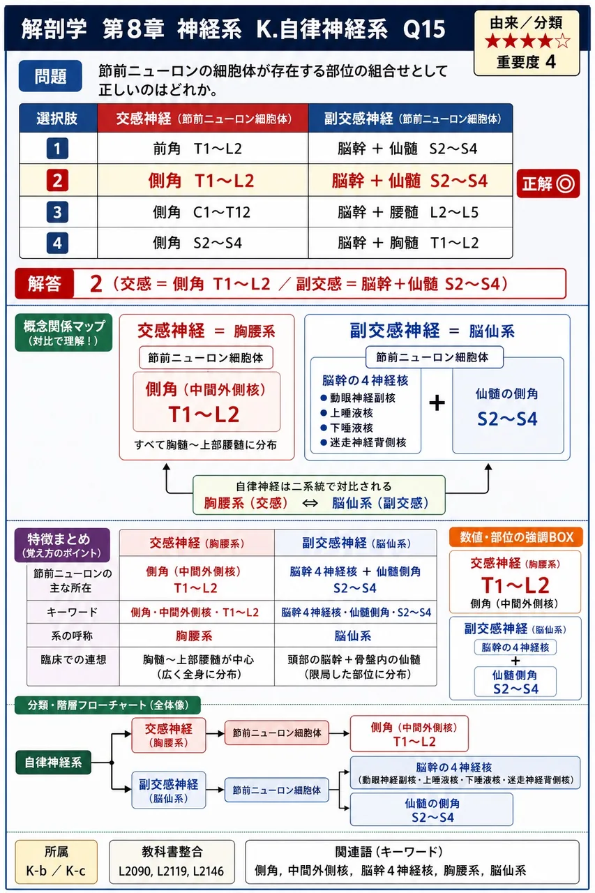 節前ニューロンの細胞体が存在する部位の組合せとして正しいのはどれか。 解説図
