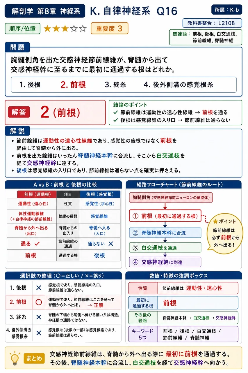 胸髄側角を出た交感神経節前線維が、脊髄から出て交感神経幹に至るまでに最初に通過する根はどれか。 解説図