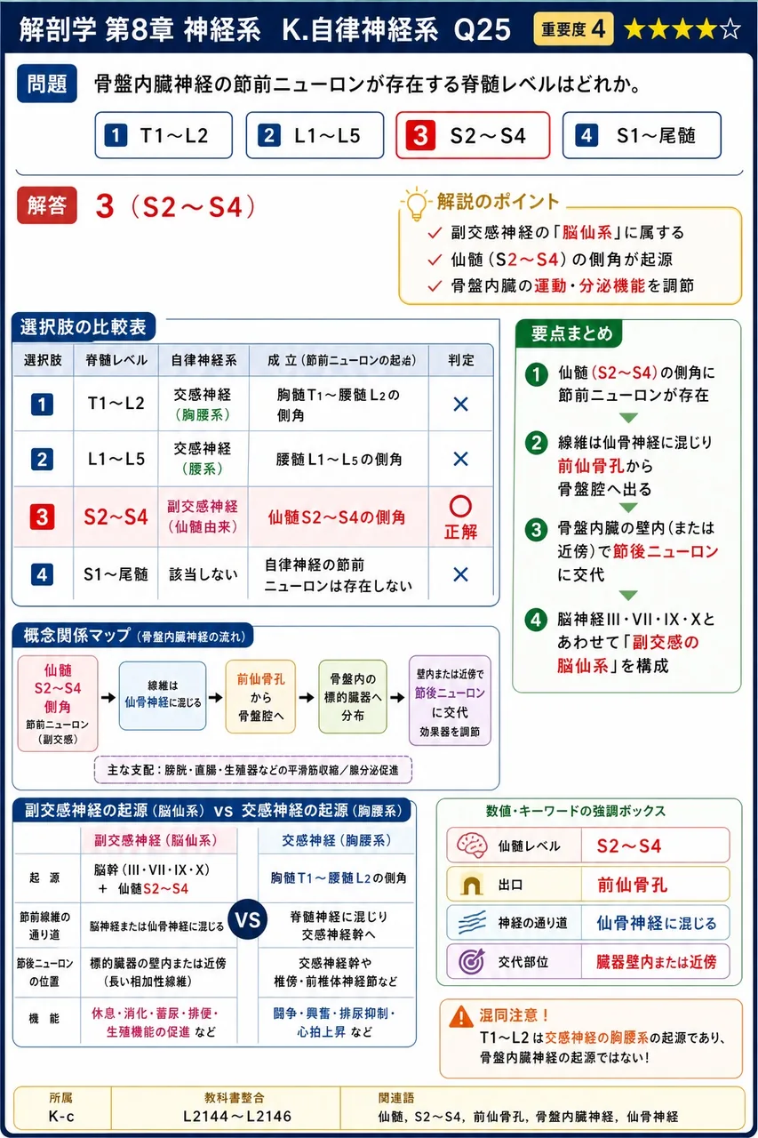 骨盤内臓神経の節前ニューロンが存在する脊髄レベルはどれか。 解説図