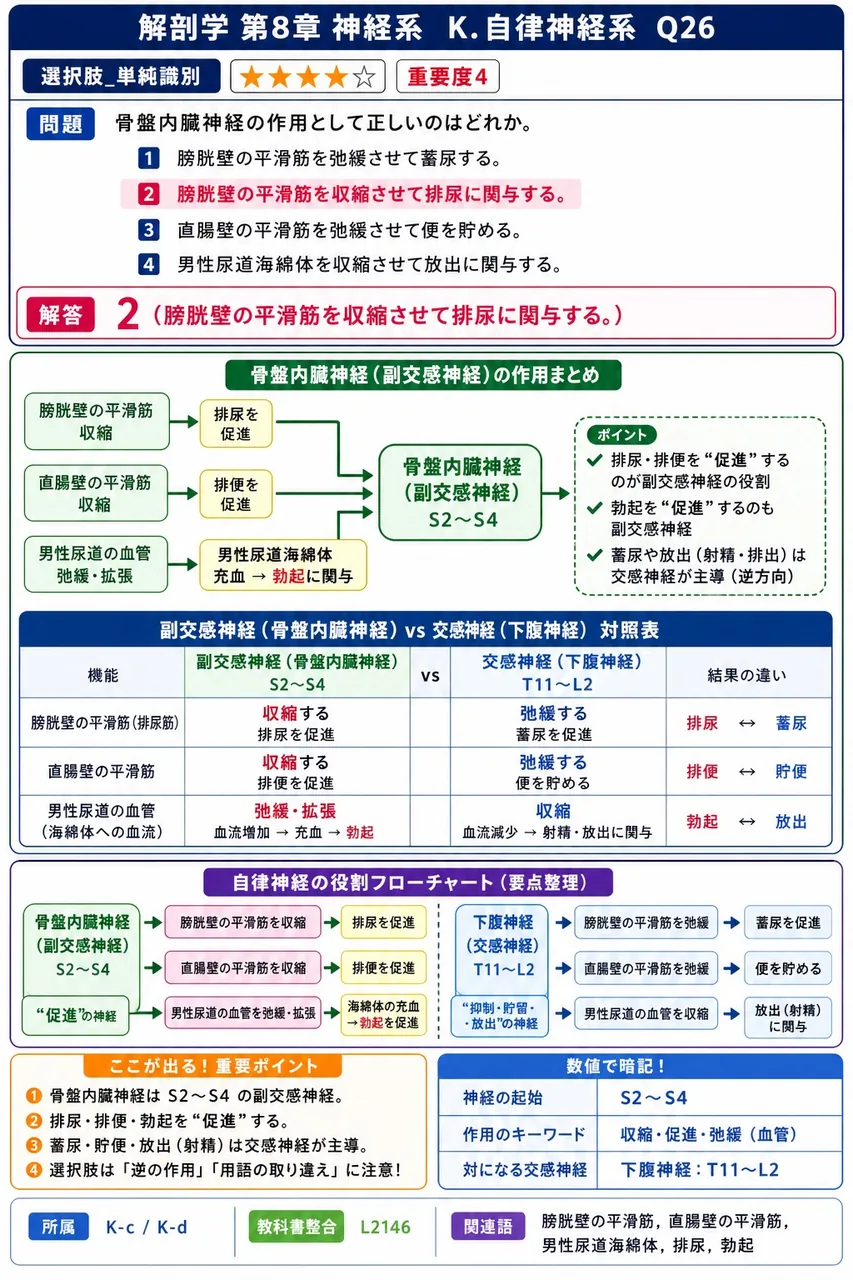 骨盤内臓神経の作用として正しいのはどれか。 解説図