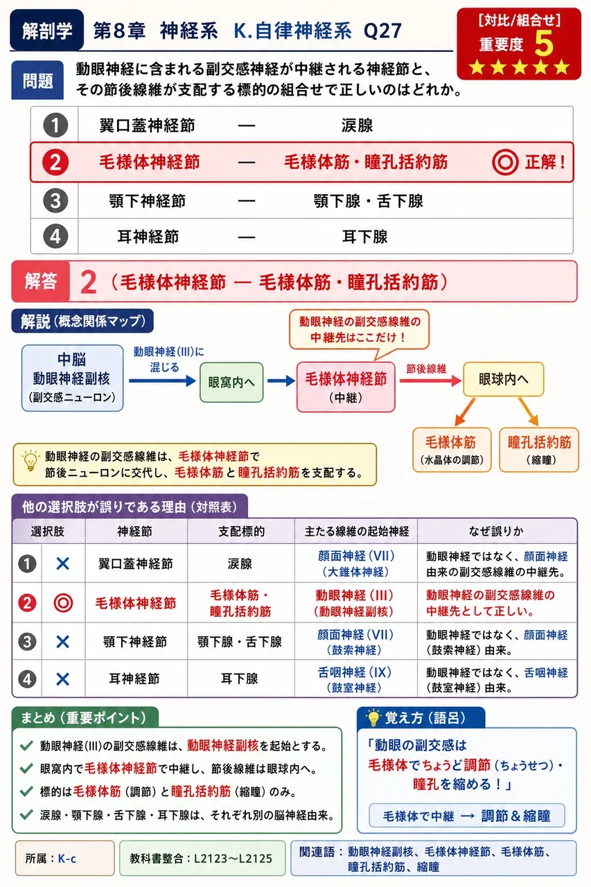 動眼神経に含まれる副交感神経が中継される神経節と、その節後線維が支配する標的の組合せで正しいのはどれか。 解説図