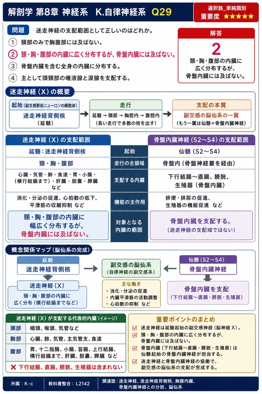 迷走神経の支配範囲として正しいのはどれか。 解説図
