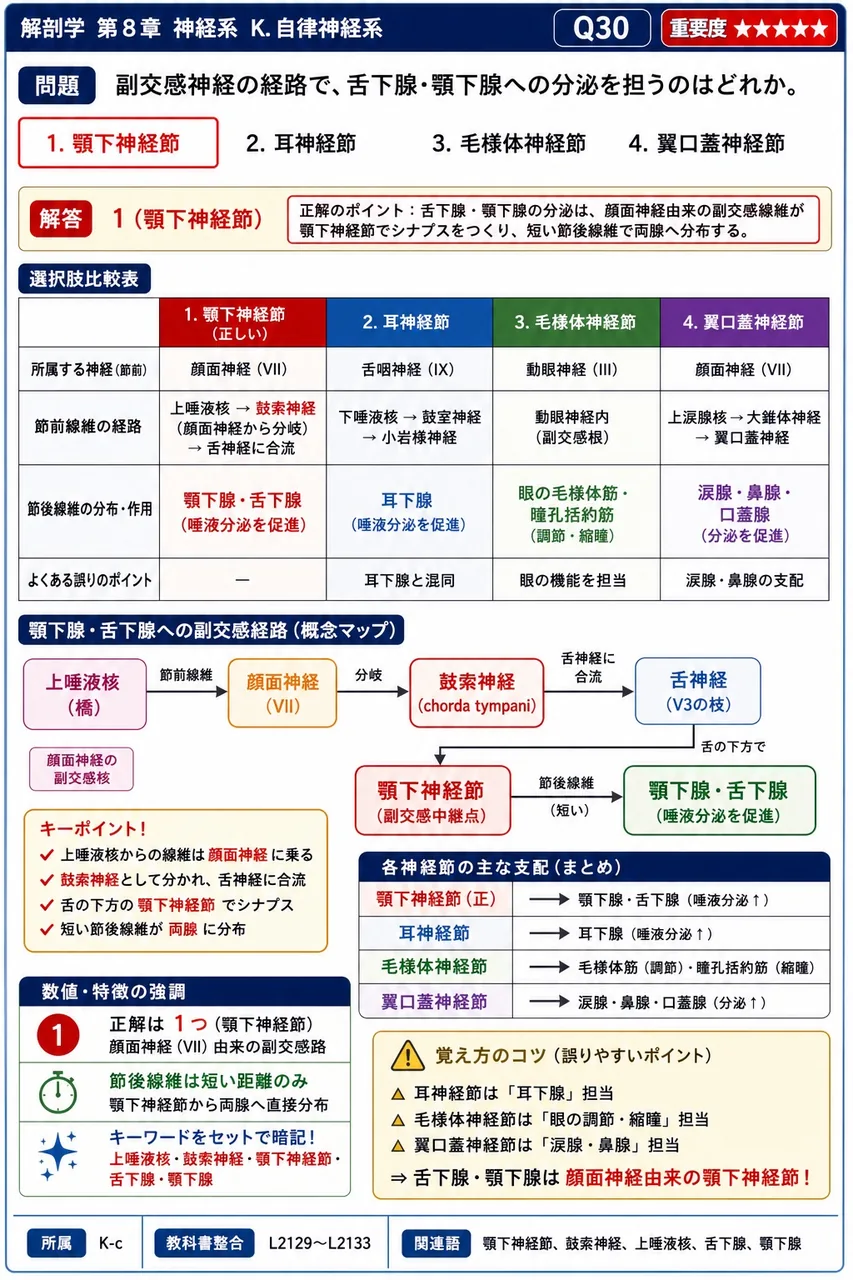 副交感神経の経路で、舌下腺・顎下腺への分泌を担うのはどれか。 解説図