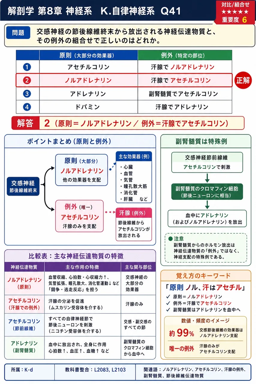 交感神経の節後線維終末から放出される神経伝達物質と、その例外の組合せで正しいのはどれか。 解説図
