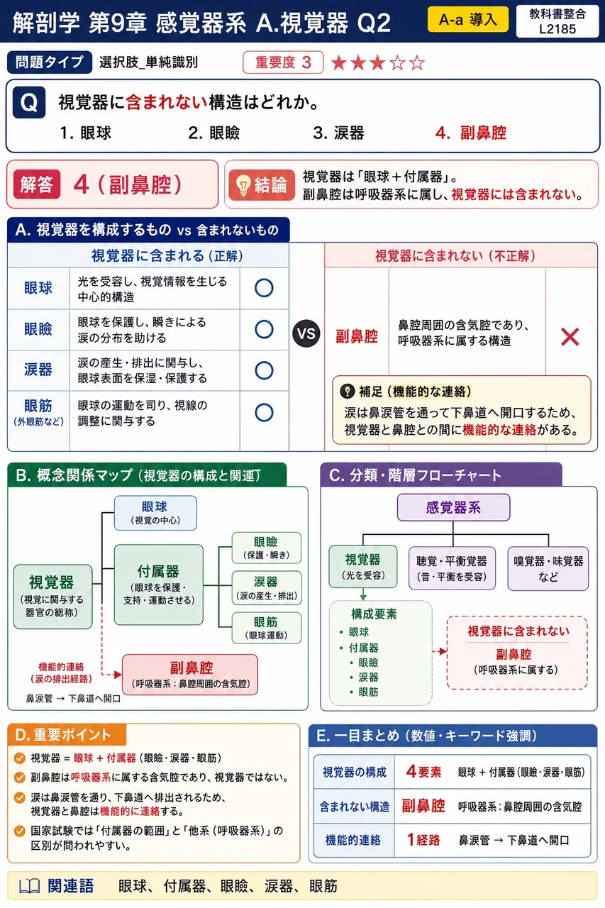 視覚器に含まれない構造はどれか。 解説図