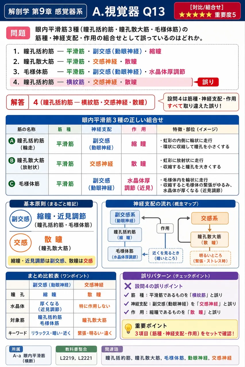 眼内平滑筋3種(瞳孔括約筋・瞳孔散大筋・毛様体筋)の筋種・神経支配・作用の組合せとして誤っているのはどれか。 解説図