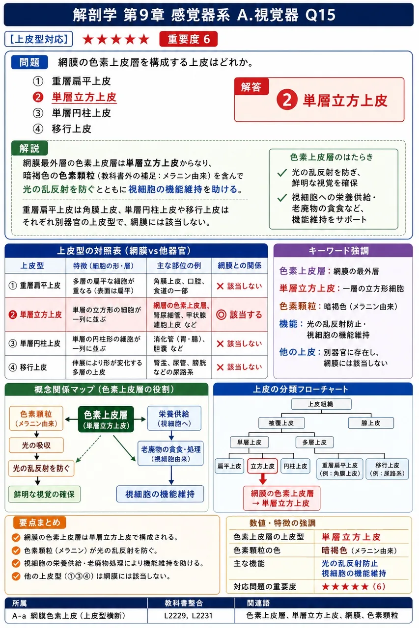 網膜の色素上皮層を構成する上皮はどれか。 解説図