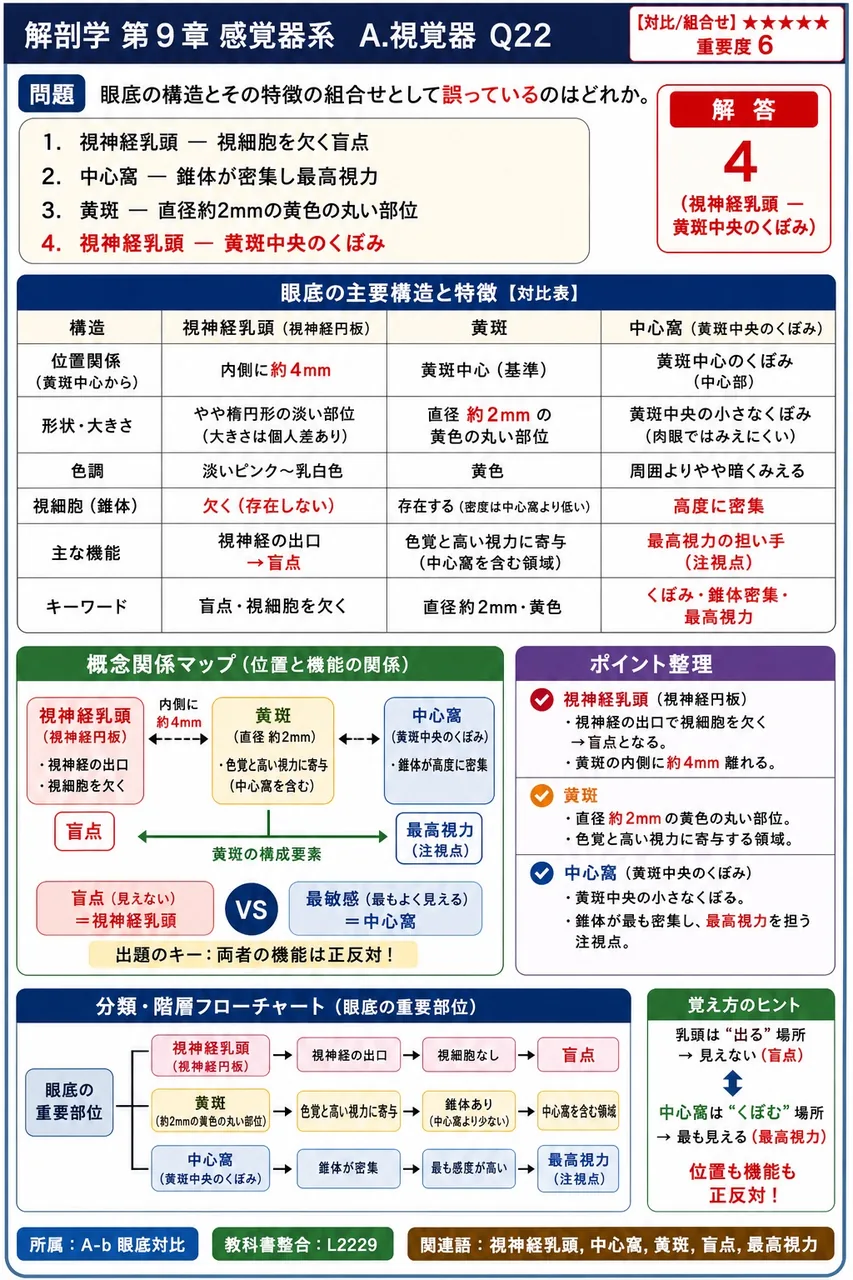眼底の構造とその特徴の組合せとして誤っているのはどれか。 解説図