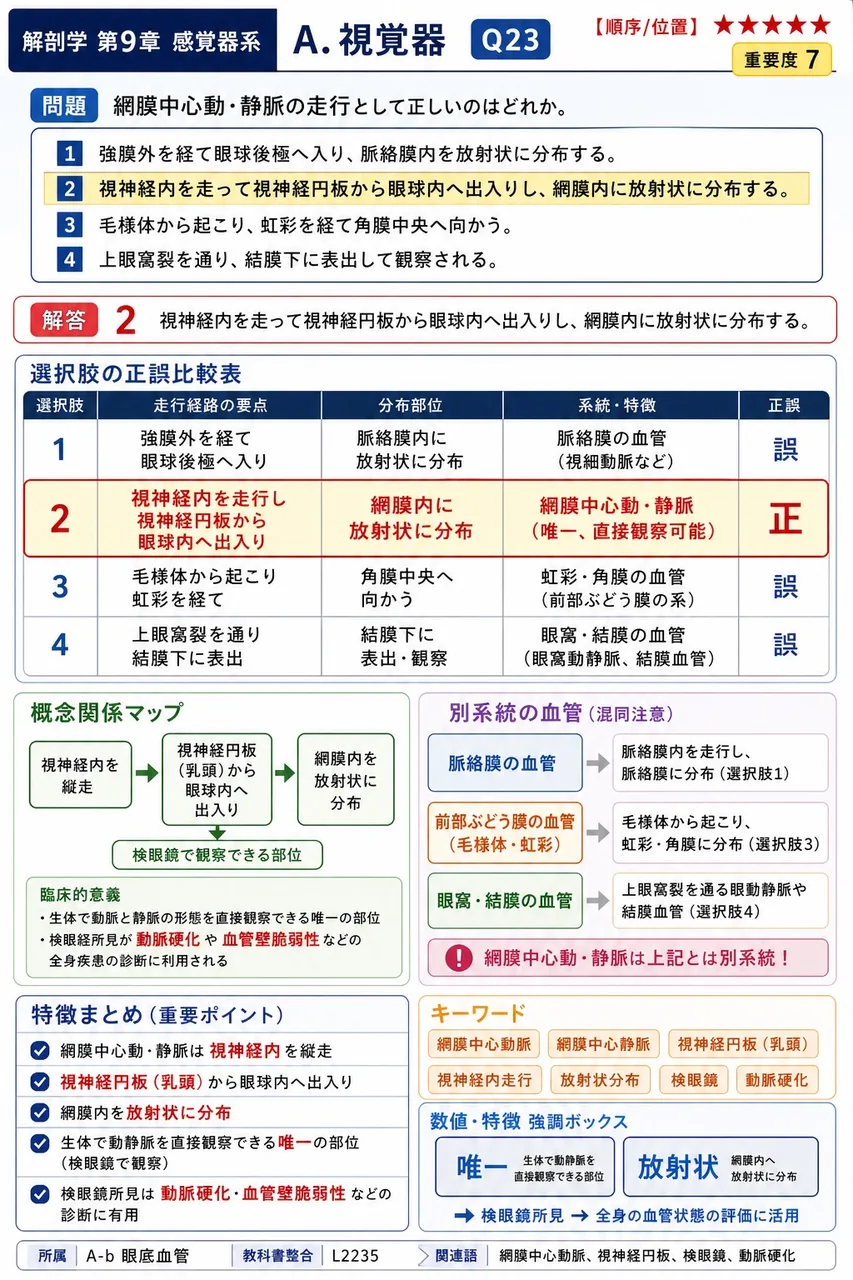 網膜中心動・静脈の走行として正しいのはどれか。 解説図