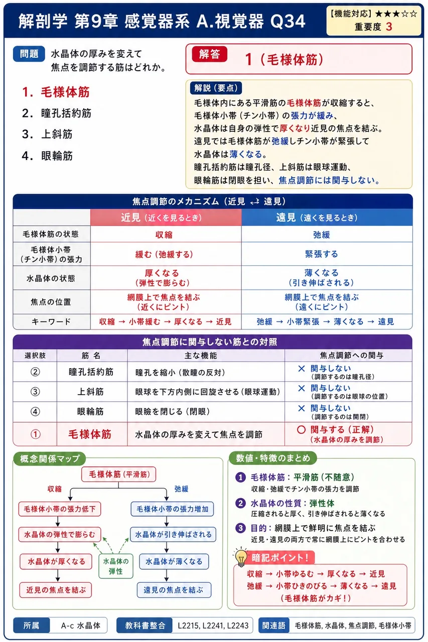 水晶体の厚みを変えて焦点を調節する筋はどれか。 解説図