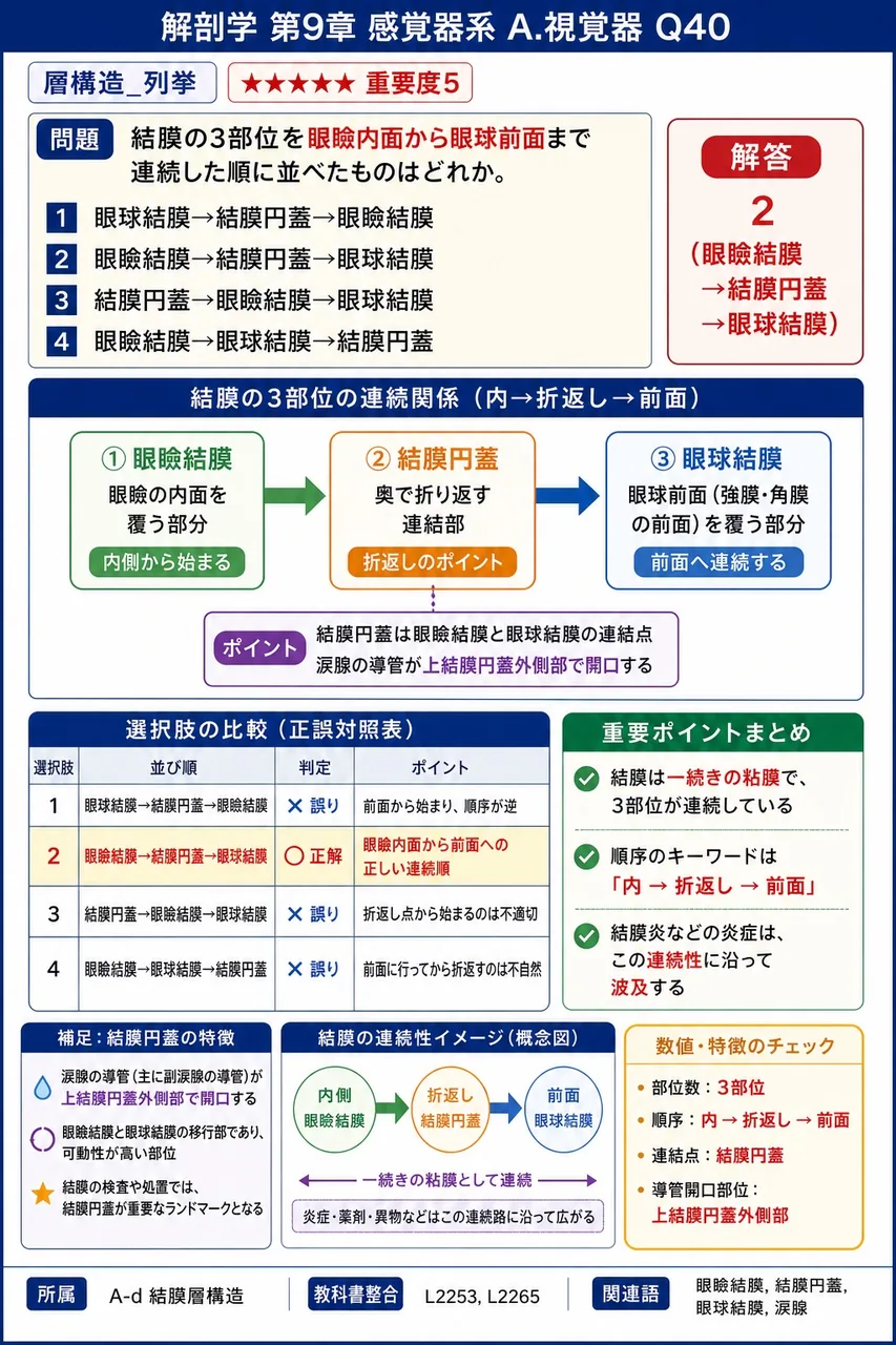 結膜の3部位を眼瞼内面から眼球前面まで連続した順に並べたものはどれか。 解説図