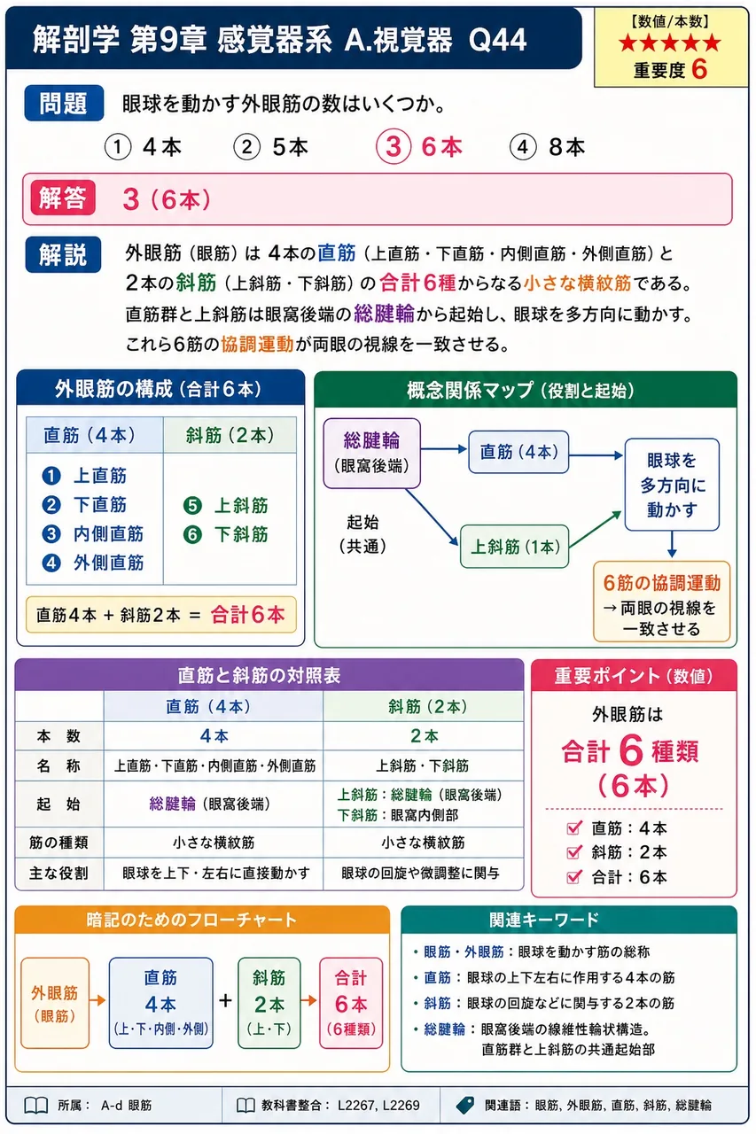 眼球を動かす外眼筋の数はいくつか。 解説図