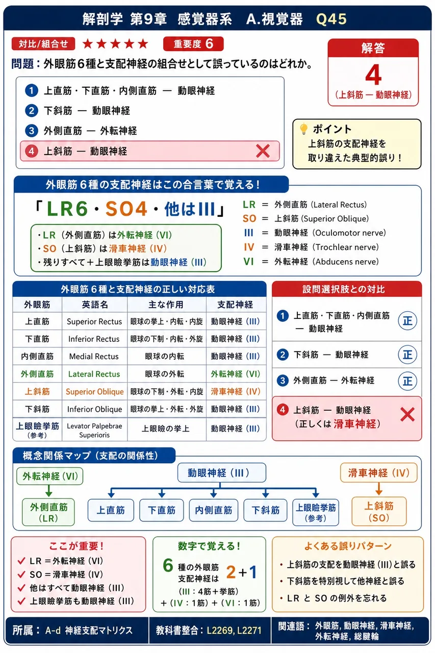 外眼筋6種と支配神経の組合せとして誤っているのはどれか。 解説図