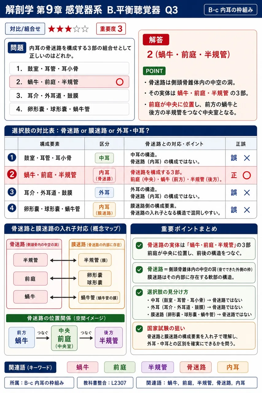 内耳の骨迷路を構成する3部の組合せとして正しいのはどれか。 解説図