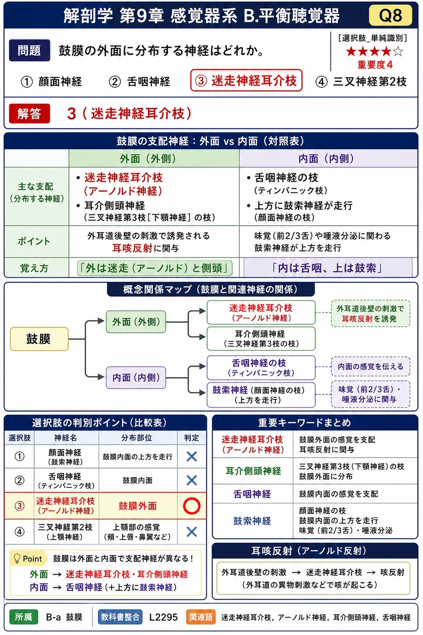 鼓膜の外面に分布する神経はどれか。 解説図