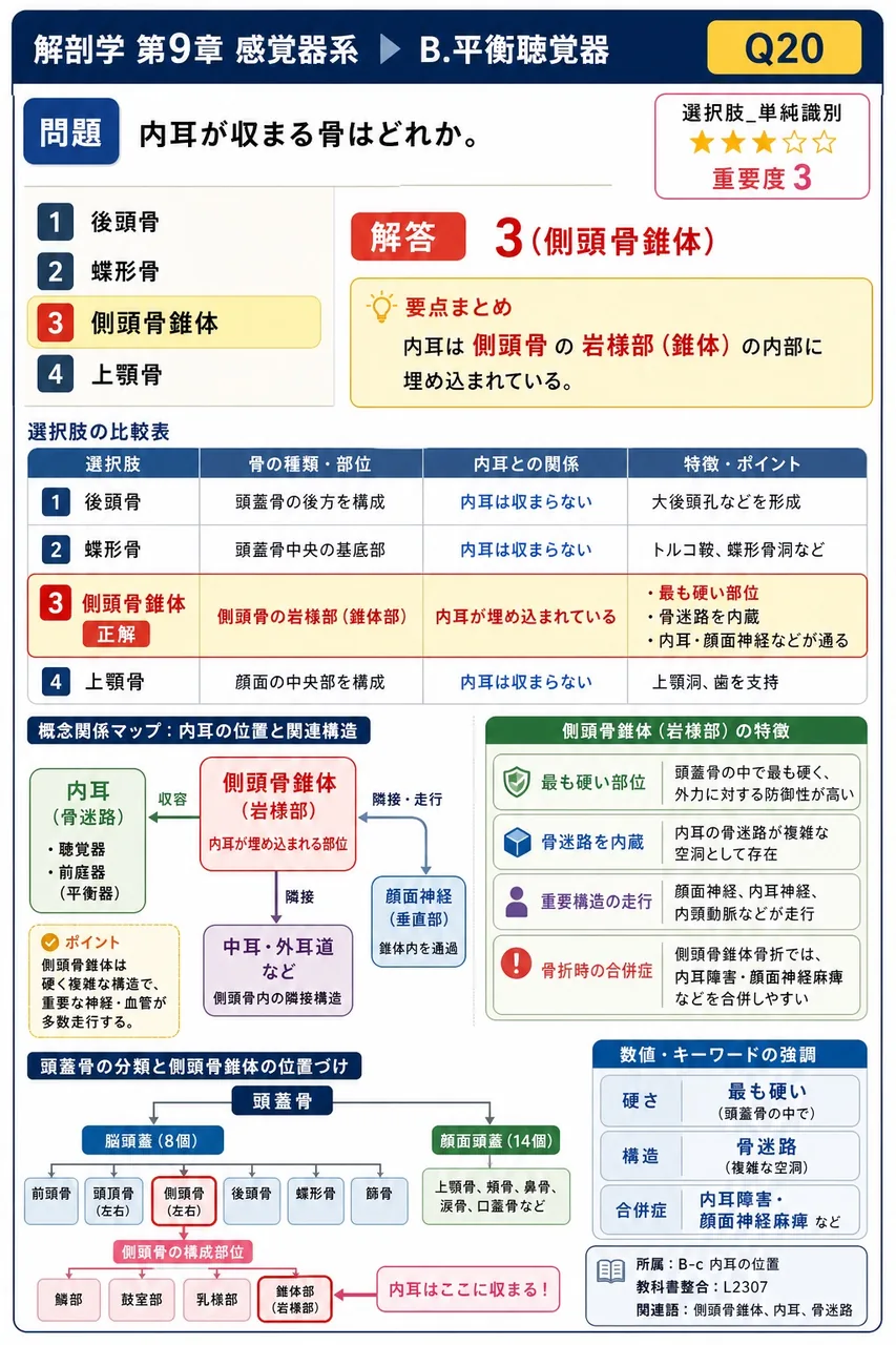 内耳が収まる骨はどれか。 解説図